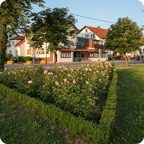 Velika Gorica